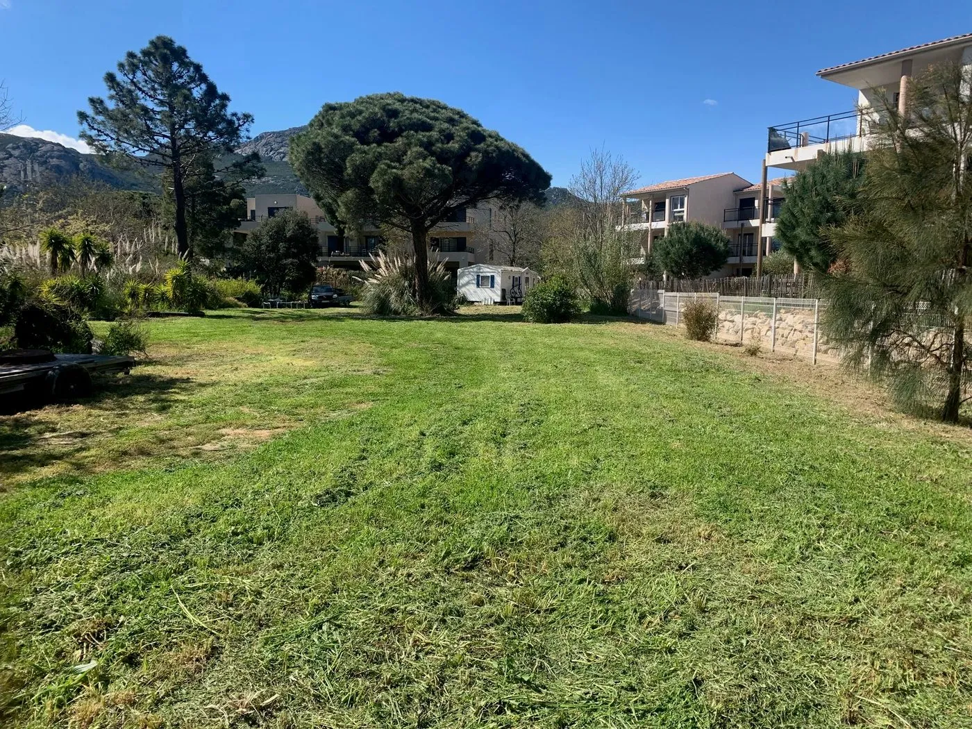 Une pelouse fraîchement tondue entre les immeubles de la résidence, sous les pins, avec les montagnes au fond